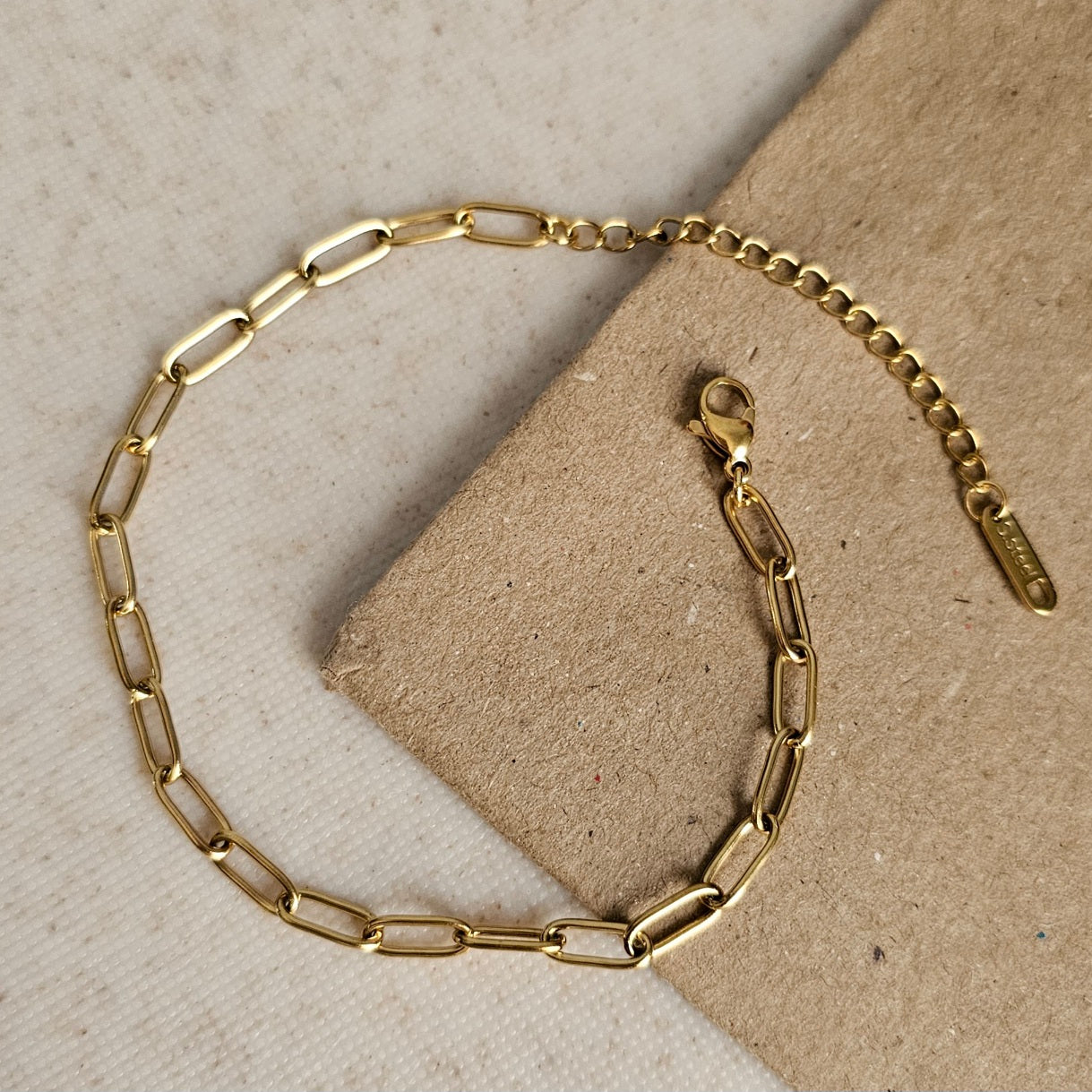 Paperclip Link Anklet